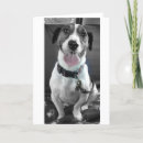Search for jack russell christmas cards Dog