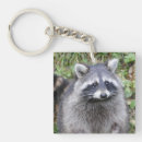 Search for racoon key rings Nature