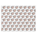 Search for farm animals tablecloths Cow