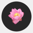 Search for black lotus stickers Pink
