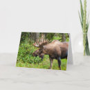 Search for peninsula cards Wildlife