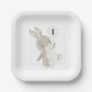Search for bunny birthday plates Cute
