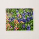 Search for texas puzzles Texas state flower