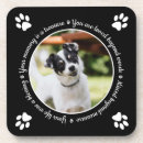 Search for dog coasters Dad