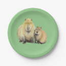 Search for capybara plates Wildlife