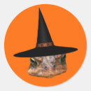 Search for witch face stickers Cute