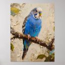 Search for blue budgie posters Pet