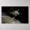 Search for three quarter posters Animal