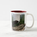 Search for prairie mugs Nature