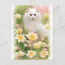 Search for long haired cat postcards Flowers