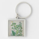 Search for herbal key rings Robinet