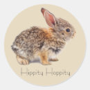 Search for cottontail rabbit stickers Easter