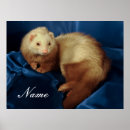 Search for ferret art posters Wild