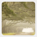 Search for savannah georgia stickers Nobody