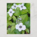 Search for provincial park postcards Superstock