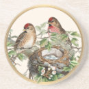 Search for birdwatcher barware Nature