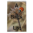 Search for bug life Bugs