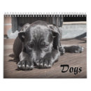 Search for adorable calendars Puppy