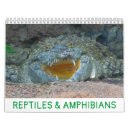Search for reptile calendars Lizards