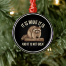 Search for racoon christmas tree decorations Xmas