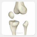 Search for bone doctor stickers Medical