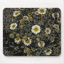 Search for digital effects Floral