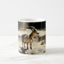 Search for goat mugs Nature