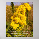 Search for proverbs posters Bible scripture