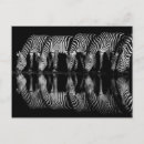 Search for togetherness postcards Africa