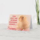 Search for spring chicken birthday cards 50th