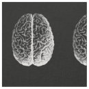 Search for brain fabric Vintage