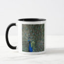 Search for peacock colours mugs Feather