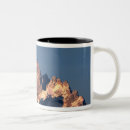 Search for altitude drinkware Peak