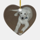Search for white german shepherd christmas tree decorations Animals