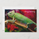 Search for chameleon invitations Reptile