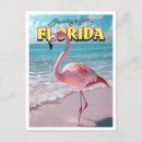 Search for flamingo postcards Travel