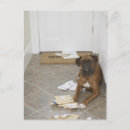 Search for chew postcards Humour