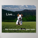 Search for inspirational quotes posters Words of encouragement