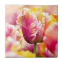 Search for tulip tiles Netherlands