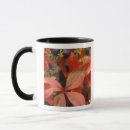 Search for westmorland mugs Usa