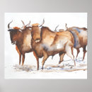 Search for bulls posters Watercolor