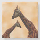 Search for giraffe coasters Spots