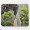 Search for bonsai electronics Garden