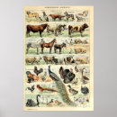 Search for sheep dog posters Vintage
