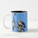 Search for birds of prey mugs Nature