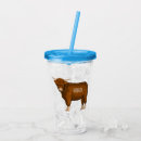 Search for cow tumblers Cattle
