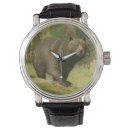 Search for lodge watches Nature