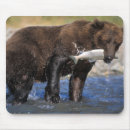 Search for catching fish mousepads Wildlife