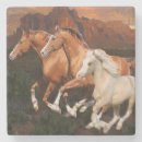 Search for arizona coasters New mexico