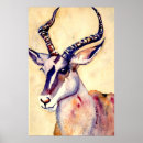 Search for impala posters Animal